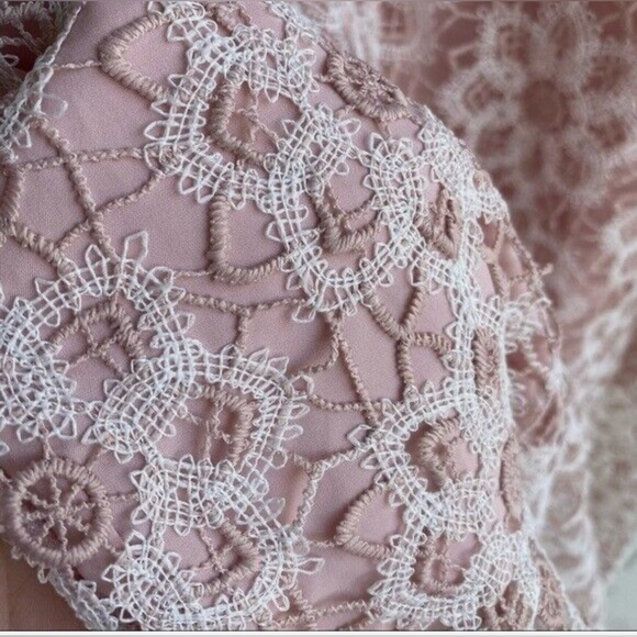 SAYLOR Lillie Lace Illusion Dress 
Illusion Neckline/Open Back 
MED 
BLUSH/IVORY - Picture 10 of 16